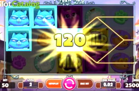 195% Bonus di benvenuto a Rizk Casino